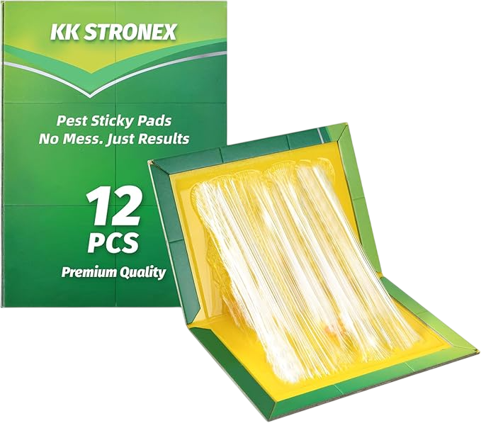 Product 1-Photoroom